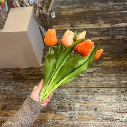 Bosje Tulpen Kort - Oranje