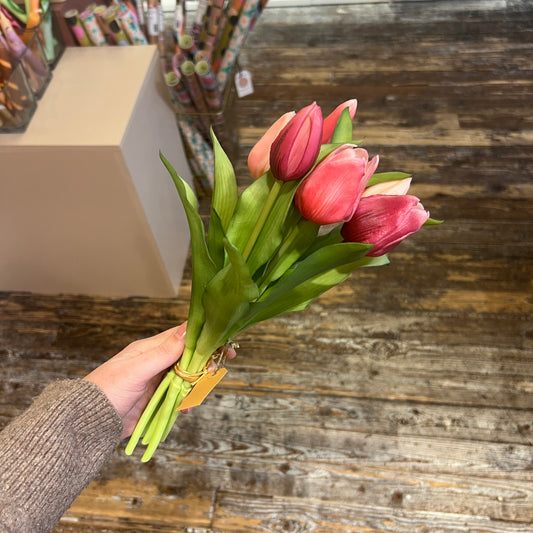 Bosje Tulpen Kort - Fuchsia