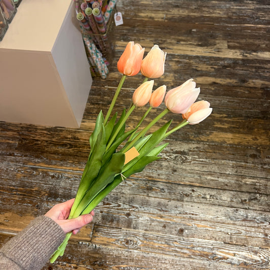 Bosje Tulpen Lang - Peach